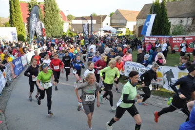 Foto des Albums: 38. Lauf um die Kreckwitzer Höhen - Zielareal