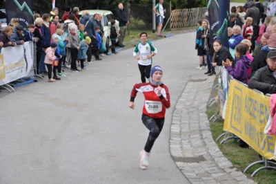 Foto des Albums: 38. Lauf um die Kreckwitzer Höhen - Zielareal