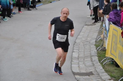 Foto des Albums: 38. Lauf um die Kreckwitzer Höhen - Zielareal