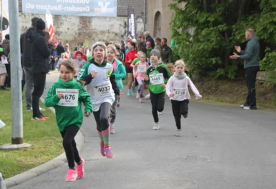 Foto des Albums: 38. Lauf um die Kreckwitzer Höhen - Zielareal