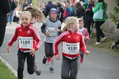 Foto des Albums: 38. Lauf um die Kreckwitzer Höhen - Zielareal