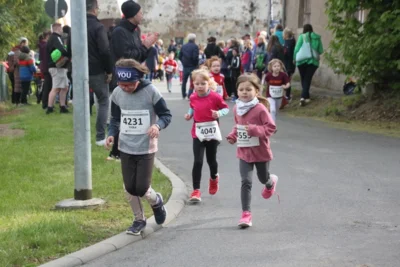 Foto des Albums: 38. Lauf um die Kreckwitzer Höhen - Zielareal