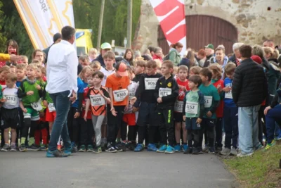 Foto des Albums: 38. Lauf um die Kreckwitzer Höhen - Zielareal