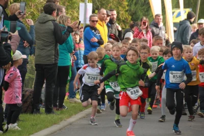 Foto des Albums: 38. Lauf um die Kreckwitzer Höhen - Zielareal