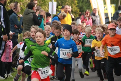 Foto des Albums: 38. Lauf um die Kreckwitzer Höhen - Zielareal