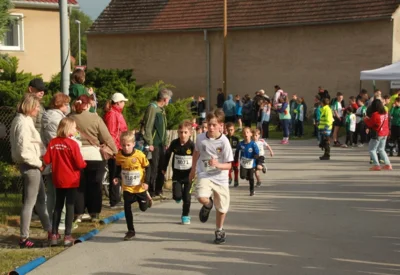 Foto des Albums: 38. Lauf um die Kreckwitzer Höhen - Zielareal