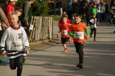 Foto des Albums: 38. Lauf um die Kreckwitzer Höhen - Zielareal