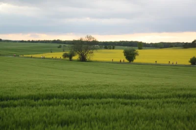 Foto des Albums: 38. Lauf um die Kreckwitzer Höhen - Streckenbilder
