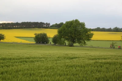 Foto des Albums: 38. Lauf um die Kreckwitzer Höhen - Streckenbilder