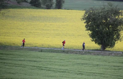 Foto des Albums: 38. Lauf um die Kreckwitzer Höhen - Streckenbilder