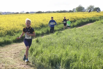 Foto des Albums: 38. Lauf um die Kreckwitzer Höhen - Streckenbilder