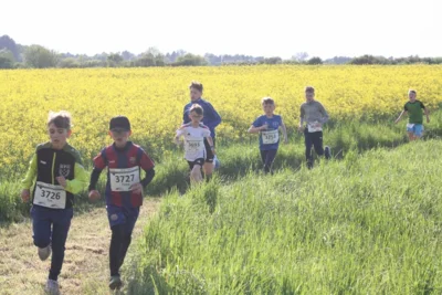 Foto des Albums: 38. Lauf um die Kreckwitzer Höhen - Streckenbilder
