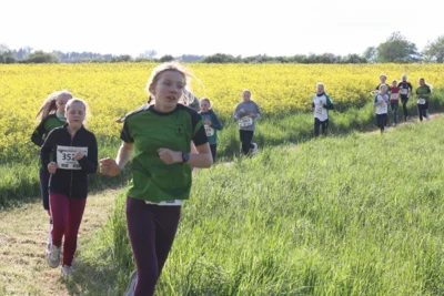 Foto des Albums: 38. Lauf um die Kreckwitzer Höhen - Streckenbilder