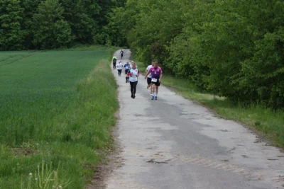 Foto des Albums: 38. Lauf um die Kreckwitzer Höhen - Streckenbilder