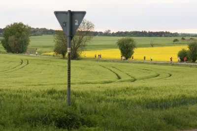Foto des Albums: 38. Lauf um die Kreckwitzer Höhen - Streckenbilder