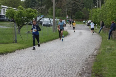 Foto des Albums: 38. Lauf um die Kreckwitzer Höhen - Streckenbilder