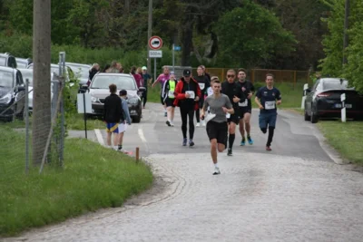 Foto des Albums: 38. Lauf um die Kreckwitzer Höhen - Streckenbilder