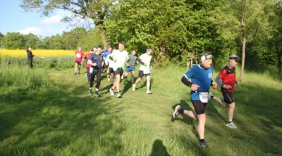 Foto des Albums: 38. Lauf um die Kreckwitzer Höhen - Streckenbilder