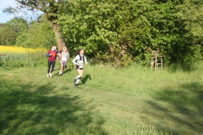 Foto des Albums: 38. Lauf um die Kreckwitzer Höhen - Streckenbilder