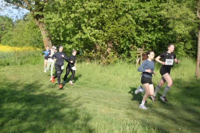 Foto des Albums: 38. Lauf um die Kreckwitzer Höhen - Streckenbilder
