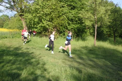 Foto des Albums: 38. Lauf um die Kreckwitzer Höhen - Streckenbilder