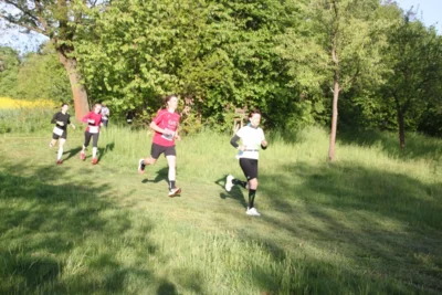 Foto des Albums: 38. Lauf um die Kreckwitzer Höhen - Streckenbilder