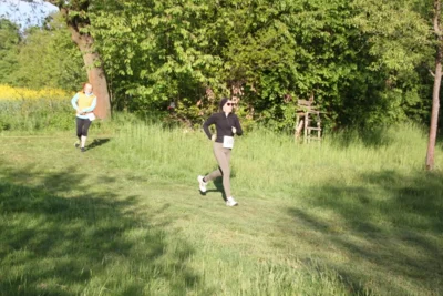 Foto des Albums: 38. Lauf um die Kreckwitzer Höhen - Streckenbilder