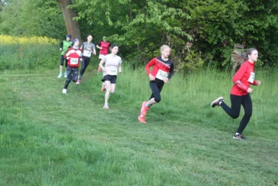 Foto des Albums: 38. Lauf um die Kreckwitzer Höhen - Streckenbilder