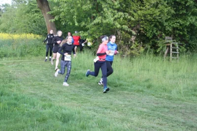 Foto des Albums: 38. Lauf um die Kreckwitzer Höhen - Streckenbilder