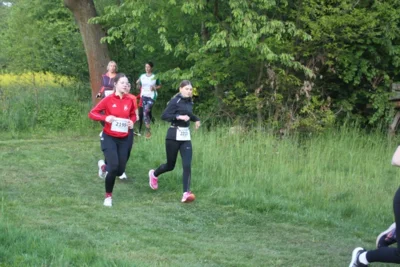 Foto des Albums: 38. Lauf um die Kreckwitzer Höhen - Streckenbilder