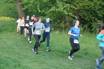 Foto des Albums: 38. Lauf um die Kreckwitzer Höhen - Streckenbilder