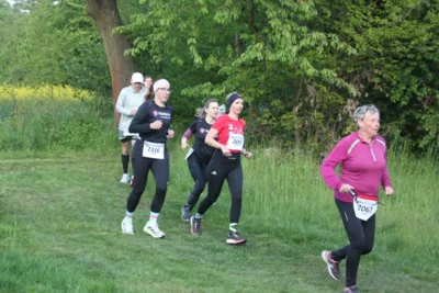 Foto des Albums: 38. Lauf um die Kreckwitzer Höhen - Streckenbilder