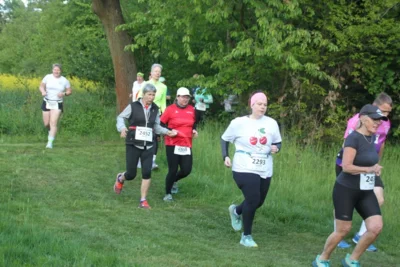 Foto des Albums: 38. Lauf um die Kreckwitzer Höhen - Streckenbilder