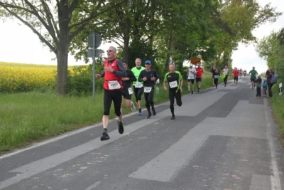 Foto des Albums: 38. Lauf um die Kreckwitzer Höhen - Streckenbilder