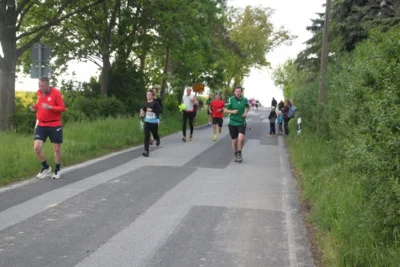 Foto des Albums: 38. Lauf um die Kreckwitzer Höhen - Streckenbilder