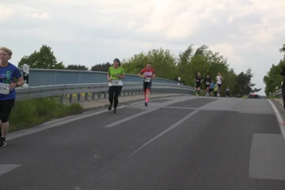 Foto des Albums: 38. Lauf um die Kreckwitzer Höhen - Streckenbilder