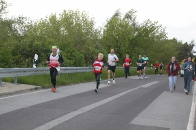 Foto des Albums: 38. Lauf um die Kreckwitzer Höhen - Streckenbilder