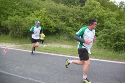 Foto des Albums: 38. Lauf um die Kreckwitzer Höhen - Streckenbilder