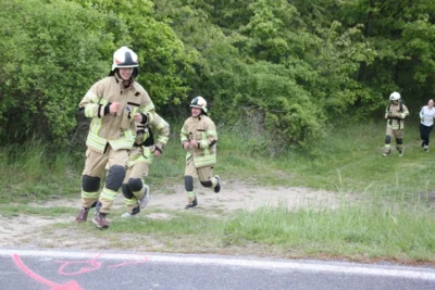 Foto des Albums: 38. Lauf um die Kreckwitzer Höhen - Streckenbilder