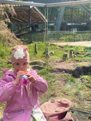 Foto des Albums: Ausflug zum Tierpark Nordhorn