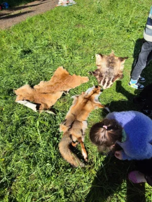 Foto des Albums: Mit dem Biosphärenreservat unterwegs auf der Wiese
