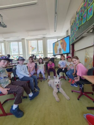Foto des Albums: Ausbildung zum Schulhund