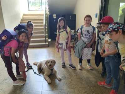 Foto des Albums: Ausbildung zum Schulhund