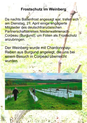 0001  (Bild vergr&ouml;&szlig;ern)