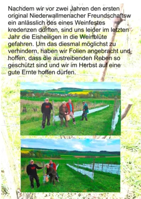 0002  (Bild vergr&ouml;&szlig;ern)