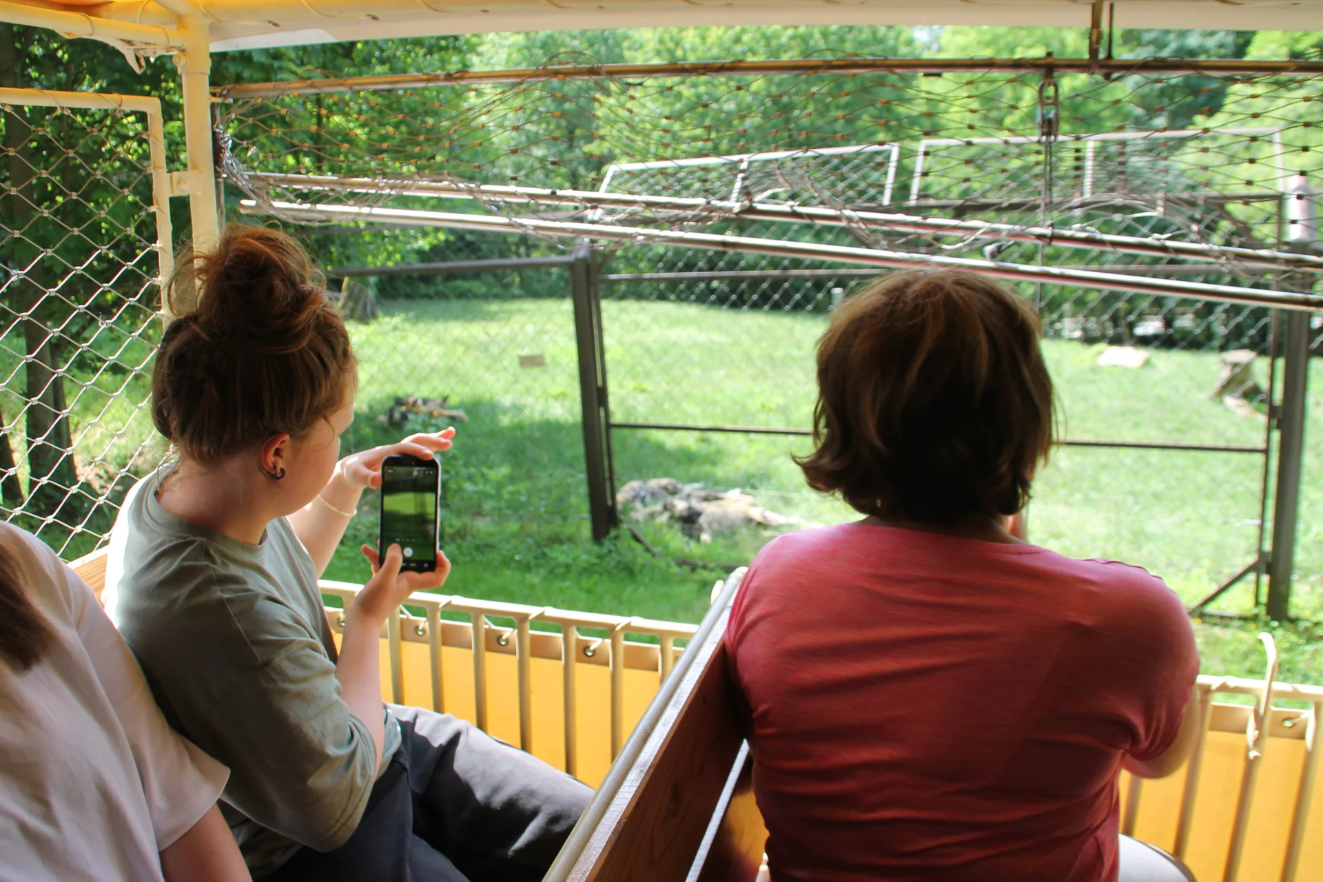 Bild: Schüler fotografieren Tiere
