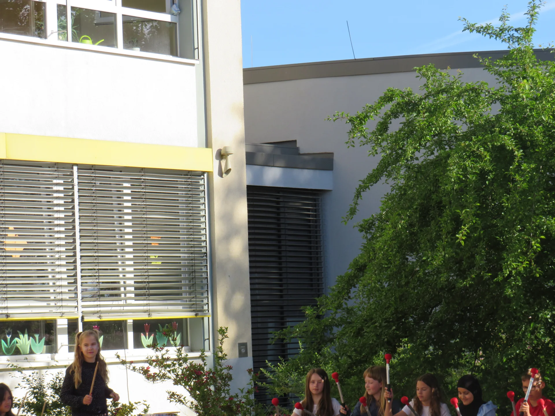 Bild der Galerie
