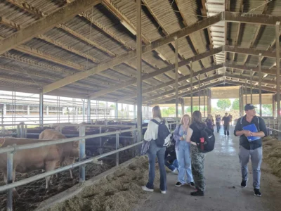 Foto des Albums: Landwirtschaftstag