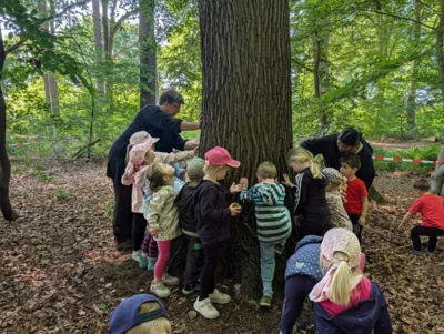 Foto des Albums: Waldtage 2026