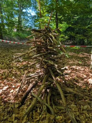 Foto des Albums: Waldtage 2026